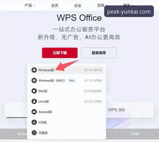 云开电脑版下载全面评测：新手也能轻松上手的官方正版安装指南